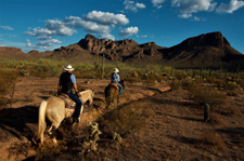 USA-Arizona-White Stallion Ranch